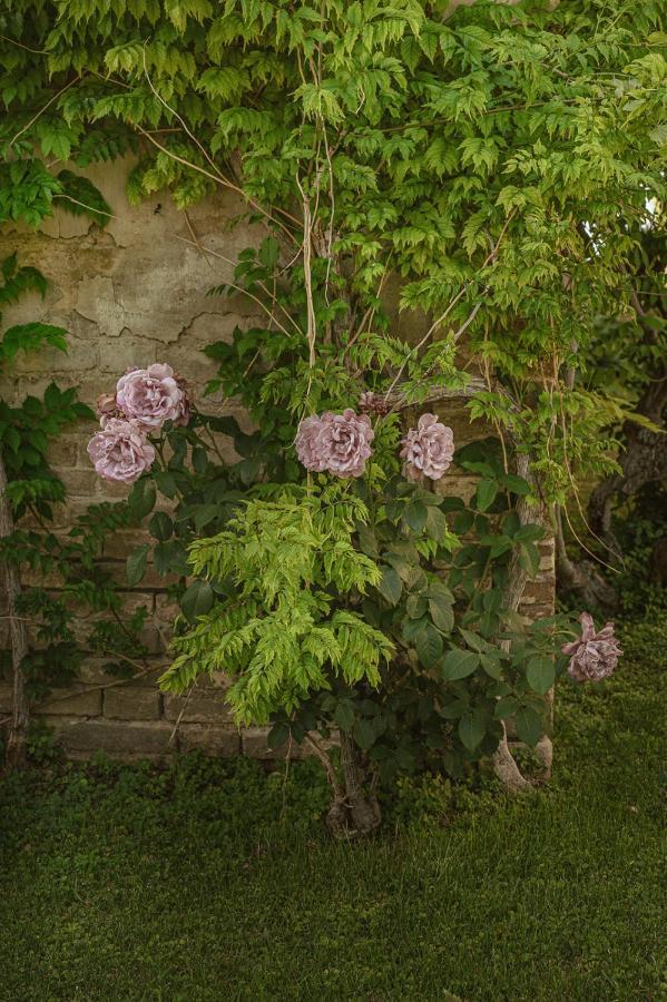 Villa Corallo Sant'Omero Esterno foto